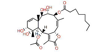 Briviolide E